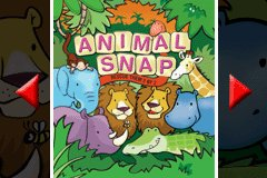 3 Games in 1 - Animal Snap - Rescue Them 2 By 2 + World Tennis Stars + Archer Maclean's Super Dropzone