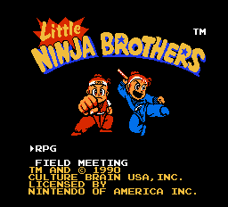 Little Ninja Brothers